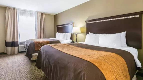 Comfort Inn & Suites Airport and Expo | Kentucky - Louisville (ve civarı) - Louisville