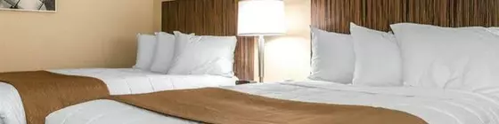 Quality Inn | Indiana - Indianapolis (ve civarı) - Indianapolis