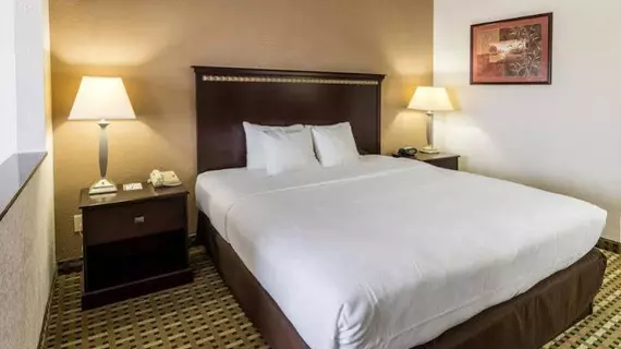 Comfort Suites Burleson - South Fort Worth | Teksas - Fort Worth (ve civarı) - Burleson