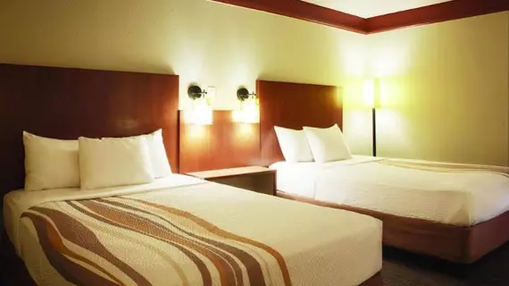 La Quinta Inn & Suites Memphis Primacy Parkway | Tennessee - Memphis (ve civarı) - Memphis - White İstasyonu