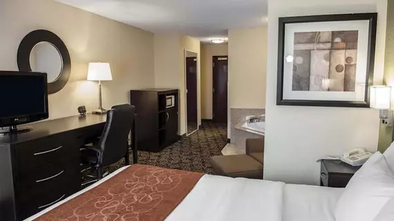 Comfort Suites Brownsburg | Indiana - Indianapolis (ve civarı) - Brownsburg