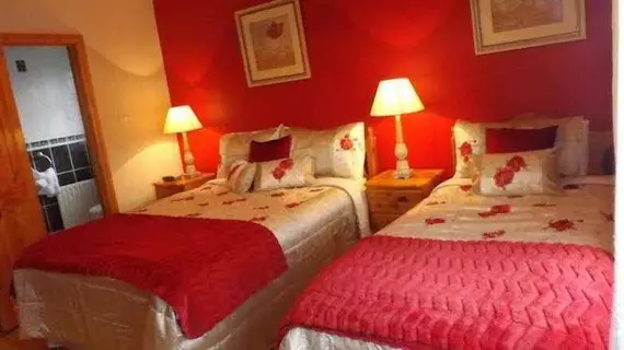 Gort na Mona Bed and Breakfast | Donegal (kontluk) - Ardara