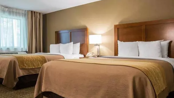 Comfort Inn & Suites at Maplewood | Vermont - Stowe (ve civarı) - Montpelier - Berlin