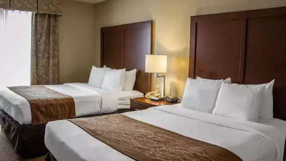 Comfort Suites Sea World/ Lackland | Teksas - San Antonio (ve civarı) - San Antonio - Batı San Antonio