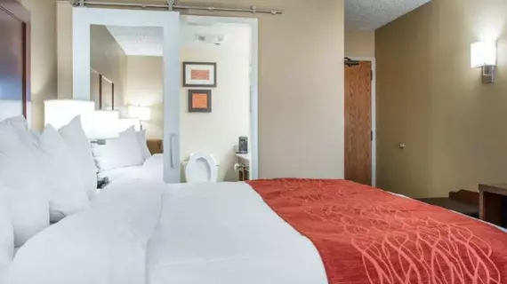 Comfort Inn Eden Prairie Minneapolis | Minnesota - Minneapolis - St. Paul (ve civarı) - Eden Prairie