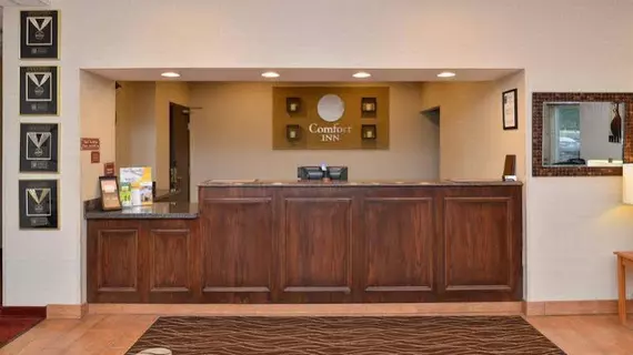 Comfort Inn Willow Springs | Missouri - West Plains (ve civarı) - Willow Springs