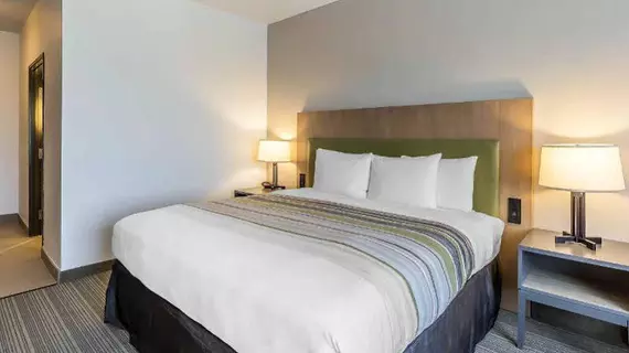 Best Western Plus Westheimer Westchase Inn & Suites | Teksas - Houston (ve civarı) - Houston - Westchase