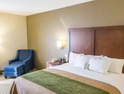 Comfort Inn Hammond | Louisiana - Hammond (ve civarı) - Hammond