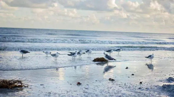 Sanibel Moorings | Florida - Fort Myers (ve civarı) - Sanibel