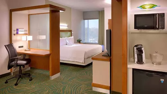 SpringHill Suites by Marriott Houston I-45 North | Teksas - Houston (ve civarı) - Houston