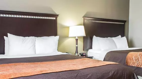 Comfort Inn & Suites Airport and Expo | Kentucky - Louisville (ve civarı) - Louisville