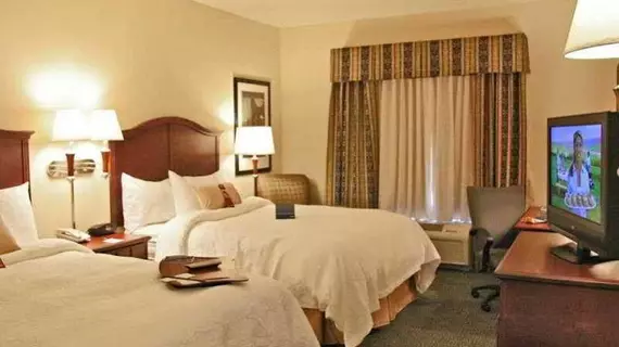 Hampton Inn & Suites Indianapolis-Airport | Indiana - Indianapolis (ve civarı) - Indianapolis