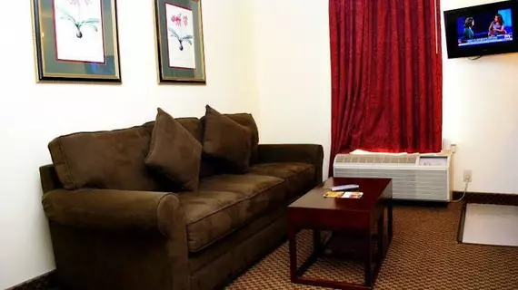 Clarion Inn and Suites | Georgia - Atlanta (ve civarı) - Atlanta - Downtown Atlanta