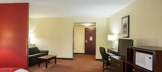 Comfort Suites Mount Juliet | Tennessee - Nashville-Davidson - Nashville (ve civarı) - Mount Juliet