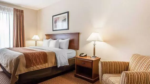 Comfort Inn & Suites Atoka | Tennessee - Memphis (ve civarı) - Atoka