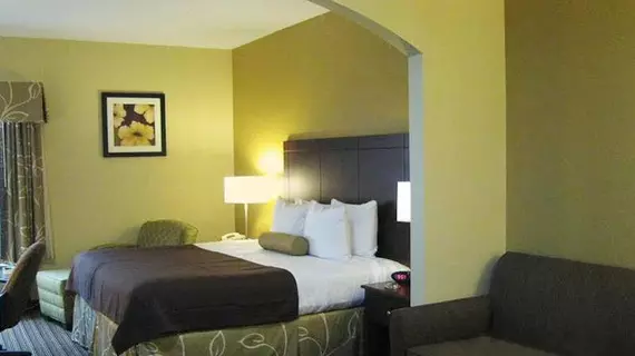 Best Western PLUS Springfield Airport | Missouri - Springfield (ve civarı) - Springfield