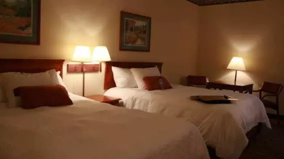 Hampton Inn Chattanooga I24 West Lookout Mountain | Tennessee - Chattanooga (ve civarı) - Chattanooga - Tiftonia