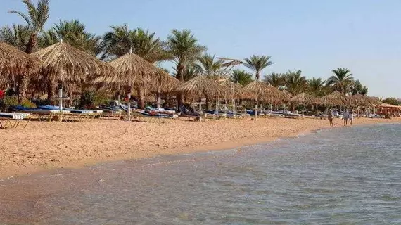 Fayrouz Resort Sharm El Sheikh | Güney Sina (il) - Şarm El Şeyh (ve civarı) - Şarm El-Şeyh