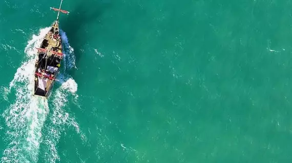 Bahia las Ballenas | Samana (ili) - Samana (ve civarı) - Las Terrenas