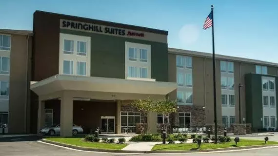 Springhill Suites Mobile | Alabama - Mobile (ve civarı) - Mobile