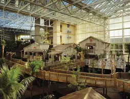 Gaylord Palms Resort & Convention Center | Florida - Orlando (ve civarı) - Lake Buena Vista - Disney's Maingate East