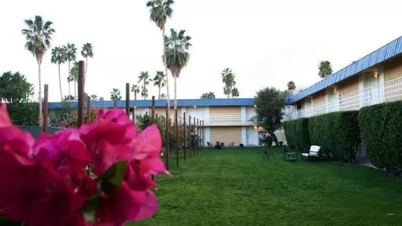 Travelodge Palm Springs | Kaliforniya - Imperial County - Palm Springs (ve civarı) - Palm Springs