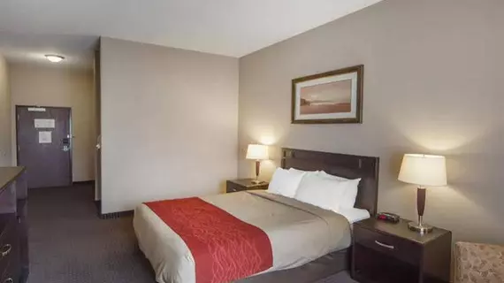 Comfort Inn & Suites Sylvan Lake | Alberta - Red Deer (ve civarı) - Sylvan Lake