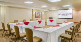 Crowne Plaza Hamilton | Ontario - Niagara Regional Belediyesi - Hamilton (ve civarı) - Hamilton