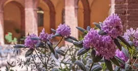 Il Chiostro Del Carmine | Toskana - Siena (vilayet) - Siena - Siena Tarihi Şehir Merkezi