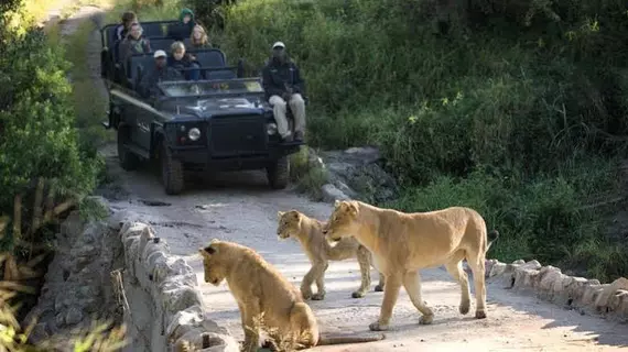 Lion Sands River Lodge | Mpumalanga - Mbombela - Kruger National Park