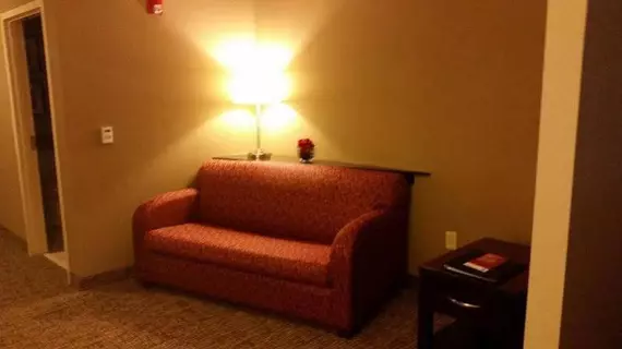 Comfort Suites Bentonville | Arkansas - Bentonville - Fayetteville (ve civarı) - Bentonville