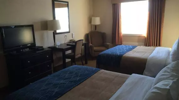 Comfort Inn & Suites Edson | Alberta - Edson