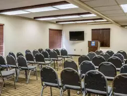 Comfort Inn Airport Grand Rapids | Michigan - Grand Rapids (ve civarı) - Grand Rapids