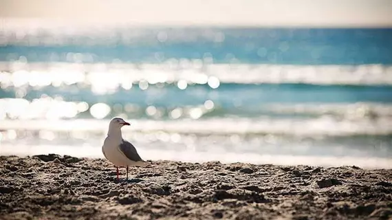 Sandcastles On Currumbin Beach | Queensland - Gold Coast (Altın Sahil) - Currumbin