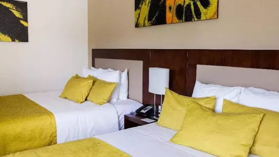 Wyndham Garden San Jose Escazu | Alajuela (ili) - San Jose (ve civarı) - Escazu