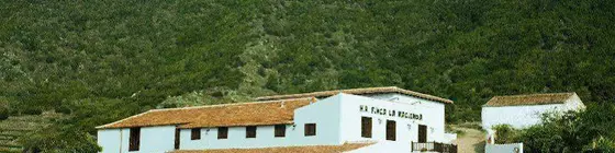 Hotel Rural Finca La Hacienda | Kanarya Adaları - Santa Cruz de Tenerife - Tenerife