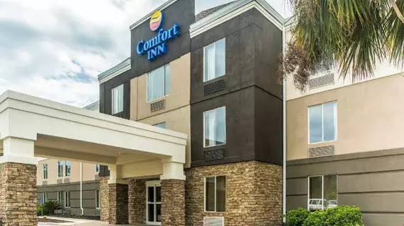 Comfort Inn | Güney Karolayna - Myrtle Plajı (ve civarı) - North Myrtle Beach