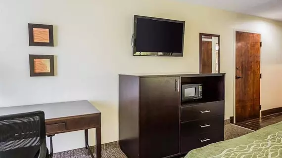 Comfort Inn | Alabama - Jackson (ve civarı) - Thomasville