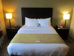 Comfort Suites North | Indiana - Fort Wayne (ve civarı) - Fort Wayne