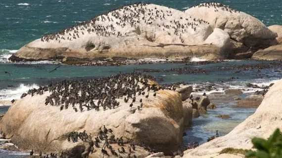 Boulders Beach Villa | Western Cape (il) - West Coast DC - Drakenstein - Cape Town (ve civarı) - Cape Town - Simon's Town