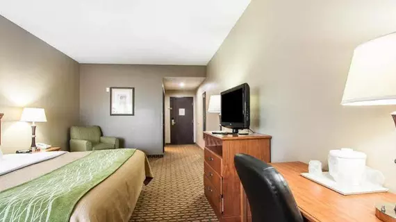 Comfort Inn Willow Springs | Missouri - West Plains (ve civarı) - Willow Springs