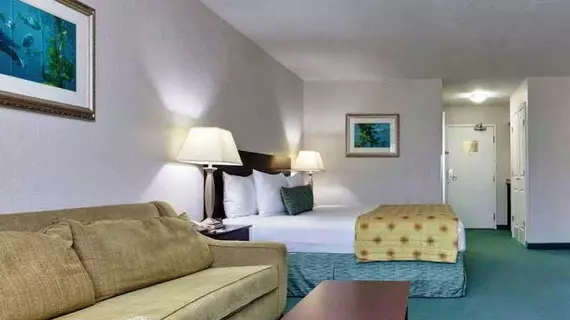 Hampton Inn Monterey | Kaliforniya - Monterey (ve civarı) - Monterey