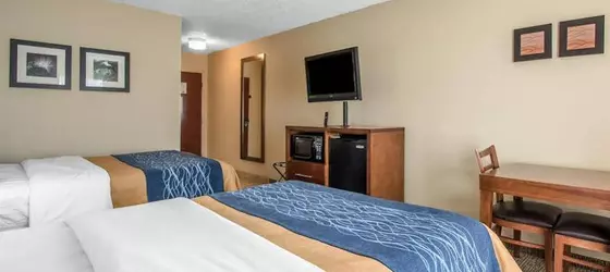 Comfort Inn Livingston | Alabama - Demopolis (ve civarı) - Livingston