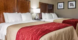 Comfort Inn and Suites | Kentucky - Lexington (ve civarı) - Mount Sterling