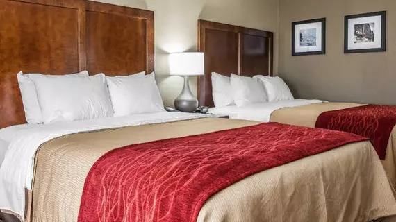 Comfort Inn and Suites | Kentucky - Lexington (ve civarı) - Mount Sterling