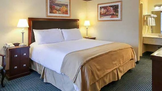 Rodeway Inn and Suites New Hope | Pensilvanya - Bucks County - Solebury Townshp - New Hope (ve civarı) - New Hope