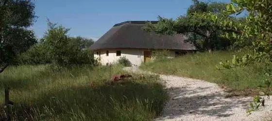 Mbizi Bush Lodge | Limpopo - Greater Giyani - Phalaborwa