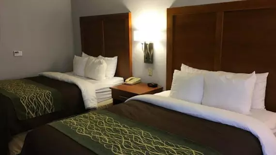 COMFORT INN & SUITES | New Mexico - Las Cruces (ve civarı) - Las Cruces