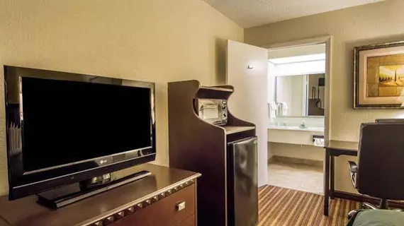 Quality Inn and Suites at Tropicana Field | Florida - St. Petersburg - Clearwater (ve civarı) - St. Petersburg