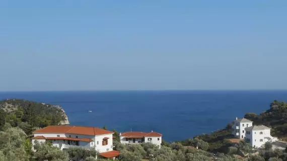 Ariadne Hotel | Tesalya - Skopelos